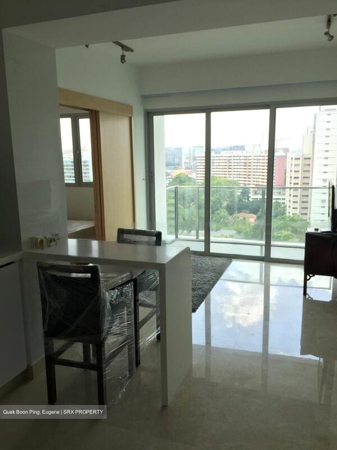 Eight Riversuites (D12), Condominium #460611971